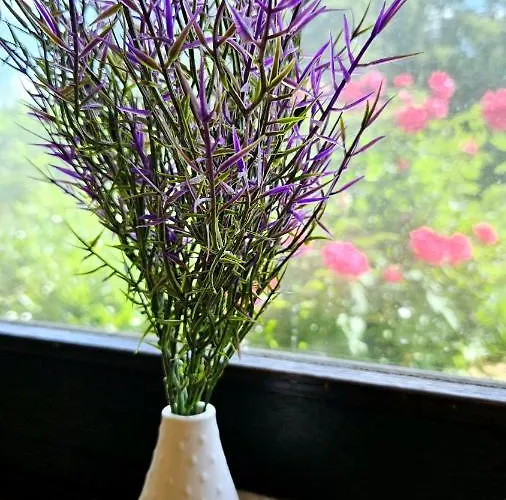 Rodder Maar דירה Niederzissen